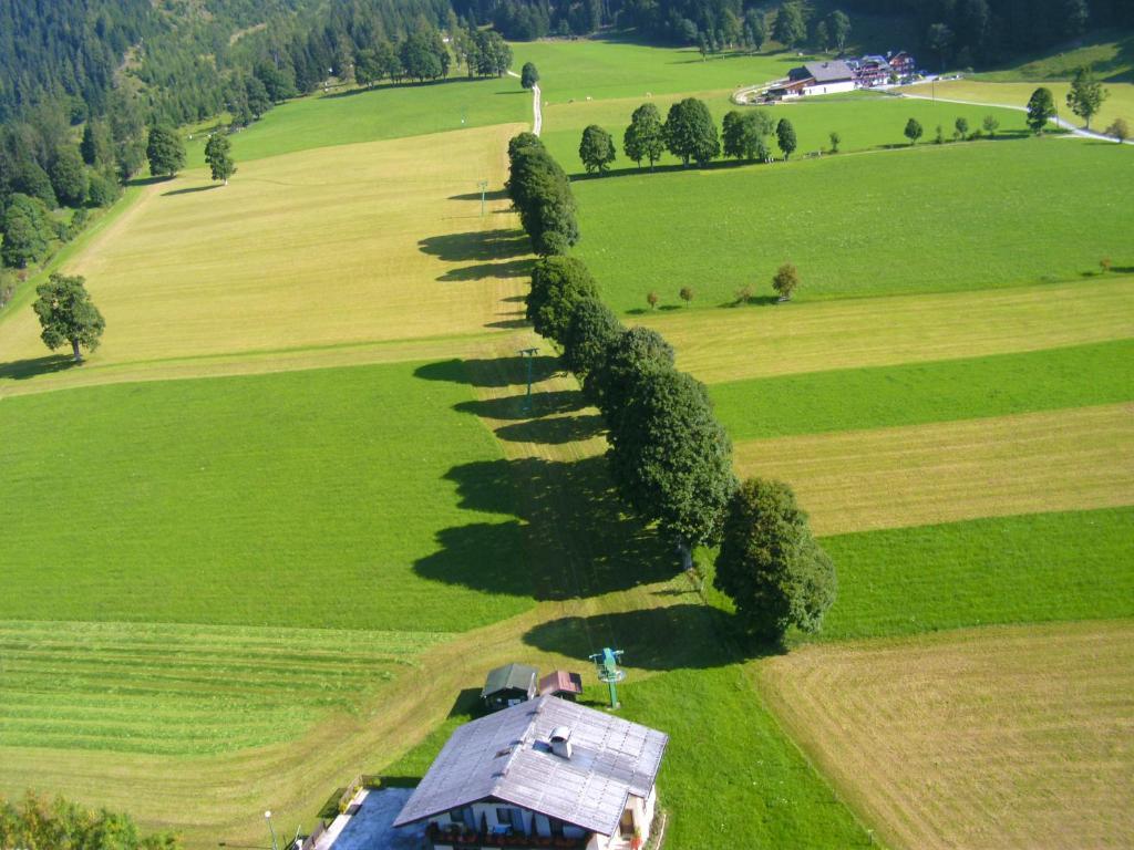Ferienhotel Knollhof Ramsau am Dachstein Eksteriør billede