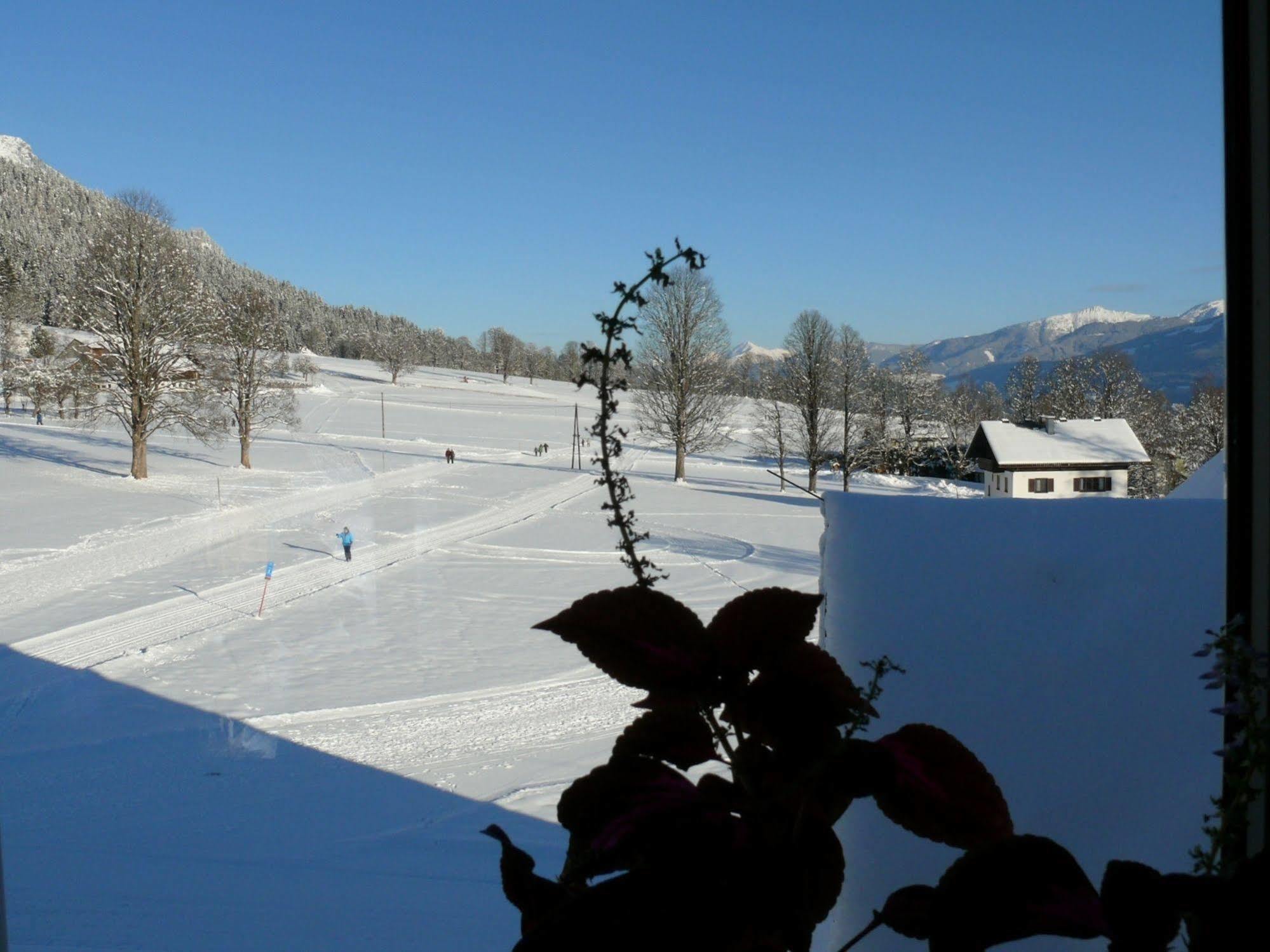 Ferienhotel Knollhof Ramsau am Dachstein Eksteriør billede